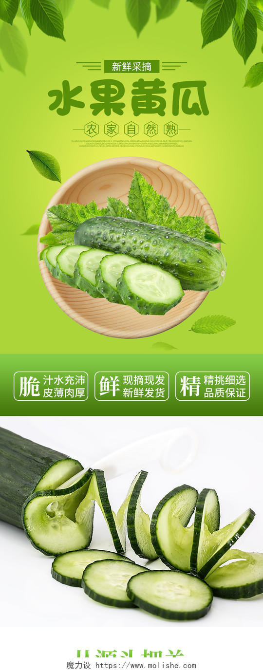 绿色时尚清新水果黄瓜蔬菜详情页设计素材